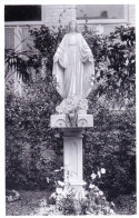 Hainaut - Gosselies - Institut Des Soeurs De La Providence - Ecole Menagere - Statue Du Jardin - Sonstige & Ohne Zuordnung