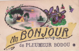 OP 43-(22) UN BONJOUR DE PLEUMEUR BODOU - CARTE FANTAISIE AVEC BRILLANTS - Pleumeur-Bodou