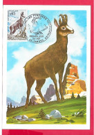 Carte Premier Jour 1971, L'Isard, Protection De La Nature, Carte Maximum VOIR SCANNE, Animal, Animaux, Montagne - 1970-1979