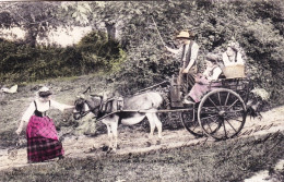 Agriculture -  La Vie Aux Champs - Les Entêtés - Attelage Ane - Boerderijen