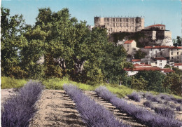 PE 28-(26) GRIGNAN - LE CHATEAU ( XVI / XVIIe ) - LAVANDE - Grignan