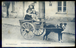 Cpa Du 37 Saint Nicolas De Bourgueil Attelage De Chien - Charrette à Chien   MAI24-01 - Sonstige & Ohne Zuordnung