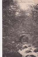 PE 31-(29) ENVIRONS DE QUIMPERLE - LE PONT SAINT MAURICE  - FORET DE CARNOET - Sonstige & Ohne Zuordnung