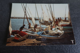 CP - MÈZE (34)  - L'école De Voile - Mèze