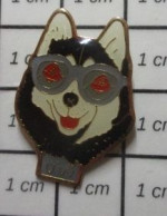 3617 Pin's Pins / Beau Et Rare / ANIMAUX / CHIEN DE TRAINEAU AVEC LUNETTES DE SOLEIL - Animali