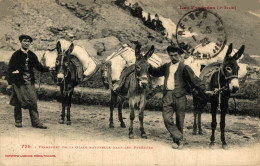 TRANSPORT DE LA GLACE NATURELLE DANS LES PYRENEES - Other & Unclassified