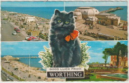 Royaume  Uni  :   Good  Luck  From  Worthing , Chat  : Vues - Autres & Non Classés