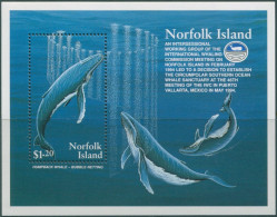 Norfolk Island 1995 SG590 Humpback Whales MS MNH - Isla Norfolk