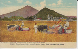 Mexico, Modern American Binders Near The Pyramids Of Cholula. Mount Popocatepelt In The Distance  Village Oxen  Animatio - Cultivation