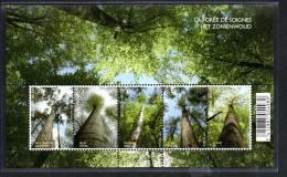 TREES - BELGIUM - 2009 - Sonian Forest Souvenir Sheet MNH , SG £38 - Bäume