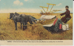 Siberia  A Harvest Scene Near Tobolsk, Where American Harvesting Machines Are Working Their Way Into Favor  Horses Man 2 - Landbouw