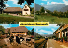 73724398 Himmelreich Hoellsteig Gasthaus Himmelreich Mit Erlenhof Und Bahnhof Hi - Hinterzarten