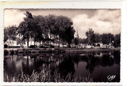 La Flèche Le Loir Et Les Promenades - La Fleche