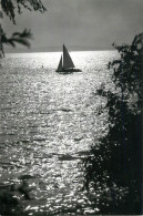 Navigation Sailing Vessels & Boats Themed Postcard Balaton Lake - Sailing Vessels