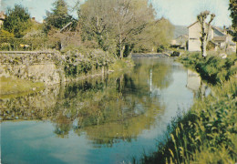 QU 2-(24) SAINT PARDOUX LA RIVIERE -  PROMENADE AUX BORDS DE LA DRONNE - CARTE COULEURS - 2 SCANS - Autres & Non Classés