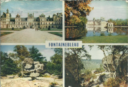 Fontainebleau -  Multivues - Belle Flamme De Fontainebleau "son Palais, Sa Forêt" 1959 - (P) - Fontainebleau