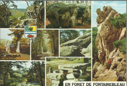 En Forêt De Fontainebleau - Multivues - Flamme "centenaire De Fontainebleau Avr. - Oct. 1975" - (P) - Fontainebleau