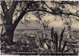 LUCCA - CARTOLINA - PANORAMA PARZIALE DELLA CIMA DELLA TORRE GIUNIGI - VIAGGIATA PER MILANO - 1954 - Lucca