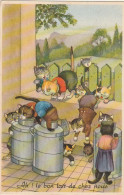 QU 9- " AH ! LE BON LAIT DE CHEZ NOUS  " - CHATS HUMANISES S' ABREUVANT DANS DES BIDONS DE LAIT - 2 SCANS - Dressed Animals