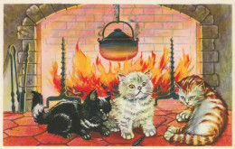 QU 9- FRATRIE DE CHATS SE RECHAUFFANT DEVANT UN FEU DE CHEMINEE  - 2 SCANS - Katzen