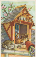 QU 9- FRATRIE DE CHATS INSTALLES SUR LA TOITURE ET RENVERSANT UN POT DE JACINTHES - 2 SCANS - Chats