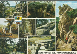 En Forêt De Fontainebleau - Multivues  - (P) - Fontainebleau