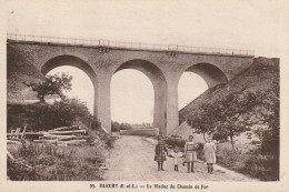 QU II-(28) BLEURY - LE VIADUC DU CHEMIN DE FER - ENFANTS - 2 SCANS - Otros & Sin Clasificación