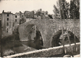 QU 14-(30) LE VIGAN DES CEVENNES - CANOTAGE SOUS LE VIEUX PONT - 2 SCANS - Le Vigan