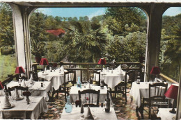 QU 18-(32) BARBOTAN - HOTEL DU ROY HENRI - LA VERANDA - VUE SUR LE JARDIN - CARTE COULEURS - 2 SCANS - Barbotan