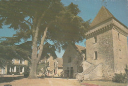 QU 24-(33) CHATEAU MONTLAU - MOULON - BRANNE - CARTE COULEURS - 2 SCANS - Autres & Non Classés