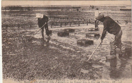 QU 26 -(33) ARCACHON - LE TRAVAIL DANS LE PARC AUX HUITRES -  2 SCANS - Arcachon