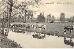 CPA -ARPAJON - L'ORGE ET LA PRAIRIE (ETAT PARFAIT) - Arpajon