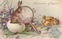 RE 13- " JOYEUSES PAQUES " - CARTE COLORISEE  GAUFREE - LAPIN ET POUSSINS - OEUF ET VIOLETTES - LOUPE  DOREE - 2 SCANS - Pascua