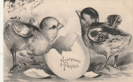 RE 13- " HEUREUSES PAQUES " - COUPLE DE POUSSINS ET OEUF ECLOS - 2 SCANS - Pascua