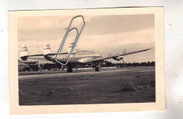 PHOTO AVIATION  AVION  LOCKHEED SUPER CONSTELLATION - Luftfahrt