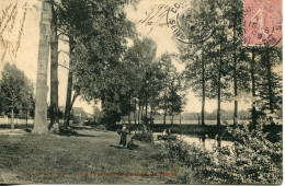 CPA -  COULOMMIERS - PROMENADE AU BORD DU MORIN - Coulommiers