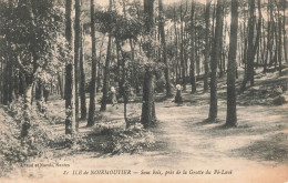 ILE DE NOIRMOUTIER : SOUS BOIS, PRES DE LA GROTTE DU PE LAVE - Noirmoutier