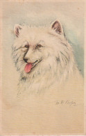 RE 18 - CARTE ILLUSTRATION TETE DE CHIEN  : SAMOYEDE - ILLUSTRATEUR  - 2 SCANS - Chiens