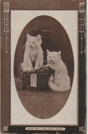 RE 18 - LOT DE 2 CARTES GAUFREES - COUPLE DE CHATS DANS UNE PANIERE - TRIO DE CHATONS SUR UNE BRANCHE - Chats