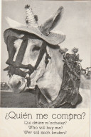 RE 19- " QUIEN ME COMPRA ? " - QUI DESIRE M' ACHETER ? - ANE AVEC CHAPEAU DE PAILLE , LICOL - 2 SCANS - Donkeys