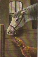 RE 19- CHEVAL DANS L' ECURIE AVEC CHIEN  - ILLUSTRATEUR MULLER - 2 SCANS - Caballos