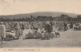 RE 23- (ALGERIE) BATNA - LE GRAND MARCHE INDIGENE -  MOUTONS - 2 SCANS - Batna