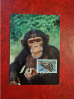 Carte MAXIMUM  SIERRA LEONE THE CHIMPANZEE WWF WORLD WILDLIFE FUND CHIMPANZEES - Sierra Leona (1961-...)