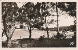 SO 6-(44) SAINT BREVIN L' OCEAN - VUE D' ENSEMBLE DE LA PLAGE  SOUS LES PINS -  2 SCANS - Saint-Brevin-l'Océan