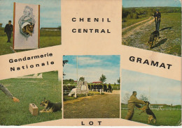 SO 9-(46) GRAMAT - CHENIL CENTRAL DE LA GENDARMERIE NATIONALE - CARTE MULTIVUES COULEURS - 2 SCANS - Gramat