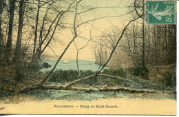 CPA - VAUCRESSON - ETANG DE SAINT-CUCUFA - Vaucresson