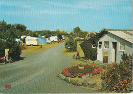 SO 14-(50) AGON COUTAINVILLE  LE PASSOUS - CAMPING DES MOUETTES , L' ENTREE - CARTE COULEURS - 2 SCANS - Other & Unclassified