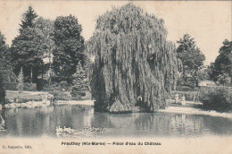 SO 17-(52) PRAUTHOY - PIECE D' EAU DU CHATEAU - 2 SCANS - Prauthoy