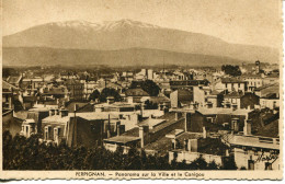 CPA - PERPIGNAN -PANORAMA SUR LA VILLE ET LE CANIGOU (1949) IMPECCABLE - Perpignan