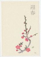 Specimen - Postal Stationery Japan 1984 Cherry Blossom - Frutas